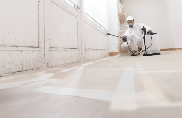 24/7 Emergency Black Mold Remediation experts in Oldtown, MD