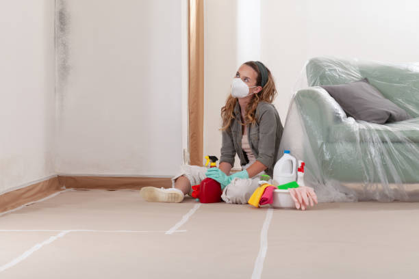 Reliable Black Mold Remediation contractor in Oldtown, MD by 24 Hour Mold Removal